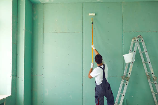 Best Ceiling Drywall Installation  in Fairfield Harbour, NC