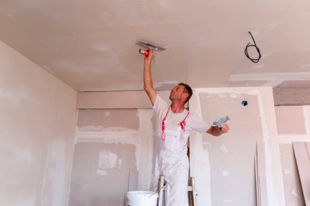 Best Drywall for New Construction  in Fairfield Harbour, NC